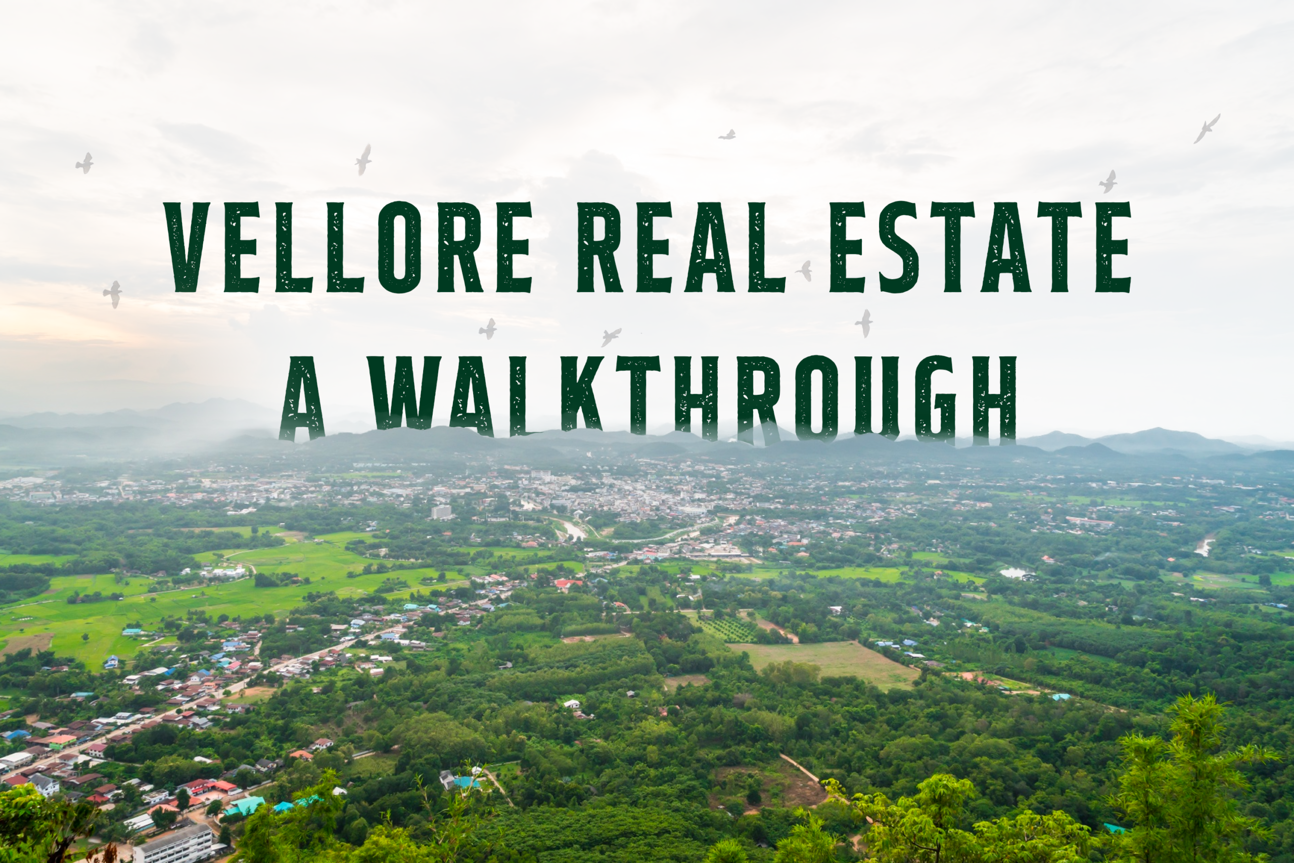 Vellore real estate a walkthrough