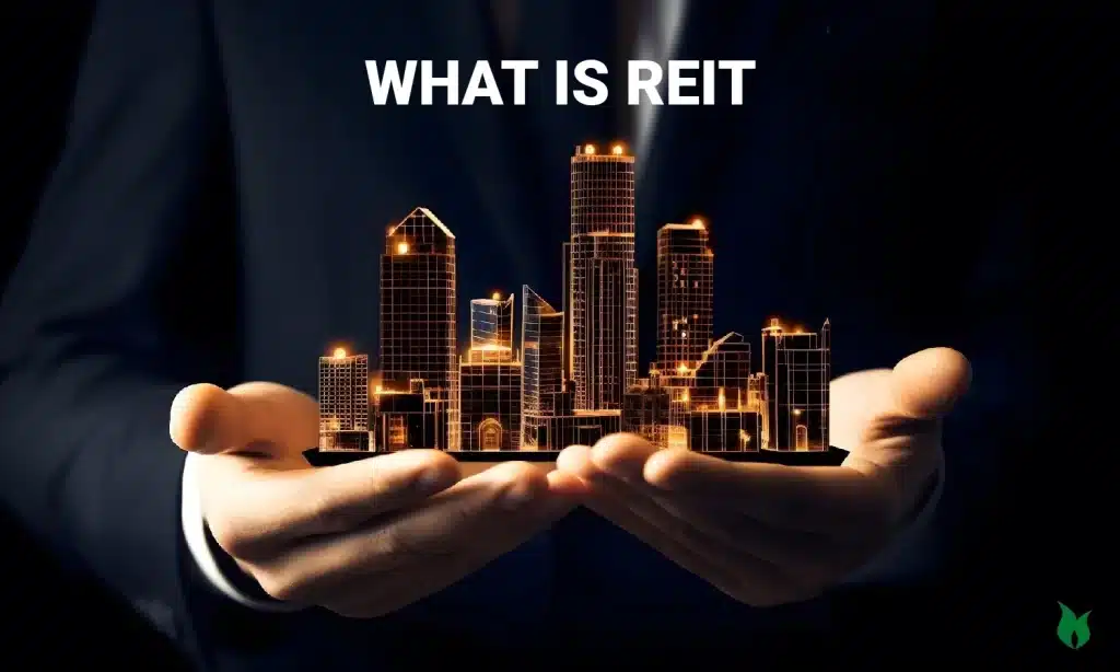 What Is REIT