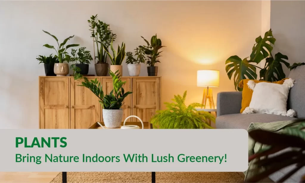 Indoor Plants - Bring Nature Indoors With Lush Greenery!