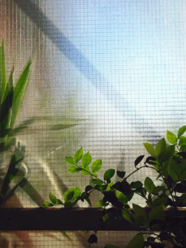 5 Common Vastu Mistakes to Avoid – https://vijayshanthibuilders.com/selvam-crown/